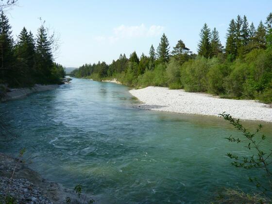Isar bei Wolfratshausen