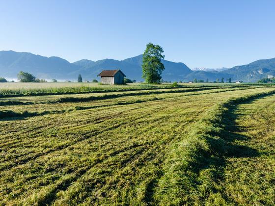 Wanderung - Weiler-Rundweg - Blick in die Berge