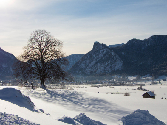 Winterwanderweg Pulvermoos