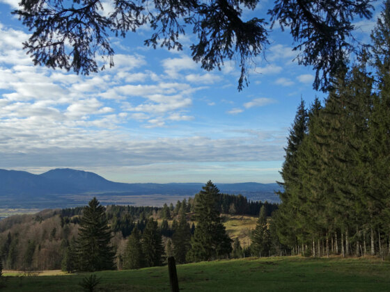 Aussicht Hohentann Richtung Murnauer Moos