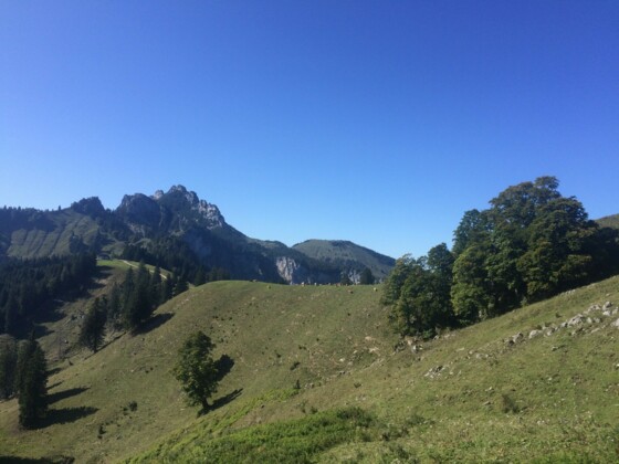 Blick auf die Piesenhauser Hochalm und Kampenwand