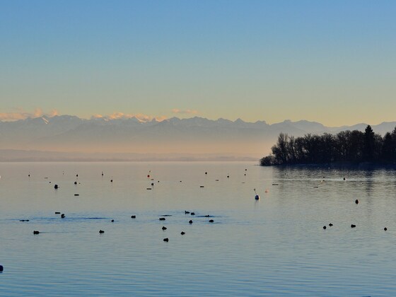 Blick über den Ammersee