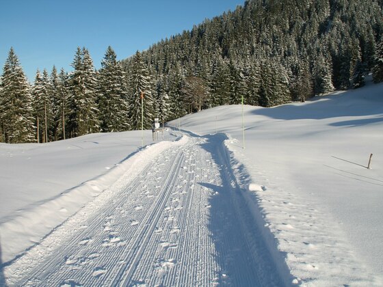 gewalzter Winterwanderweg zur Lenggrieser Hütte