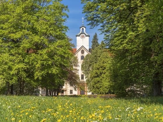 Schloss Hohenburg