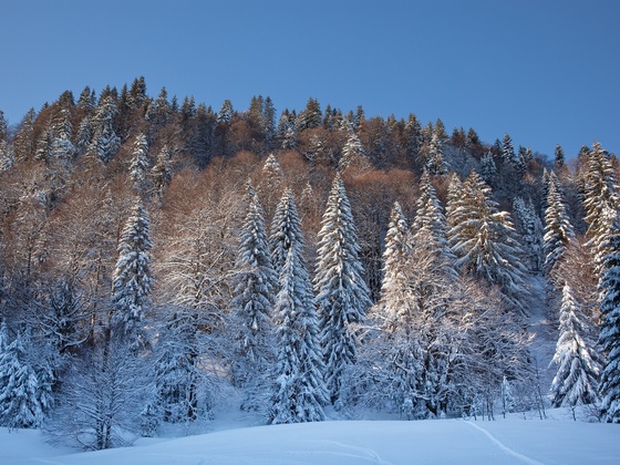 Winterlandschaft in Lenggries