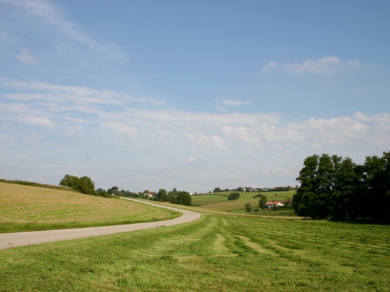 Bei Leiten.