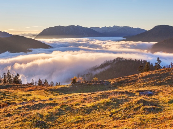 Blick ins Karwendel von Hochalm
