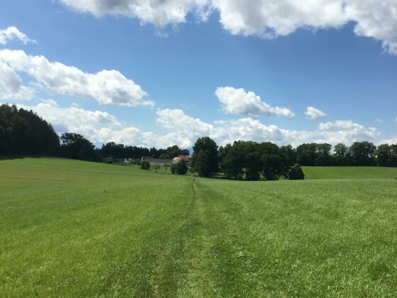 Weitblick auf Schlossgut Oberambach