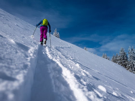 Erst oberhalb der Baumgrenze warten am Schafreuter offene Skihänge.
