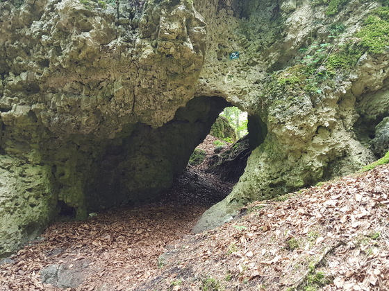 Höhle Nr. 6