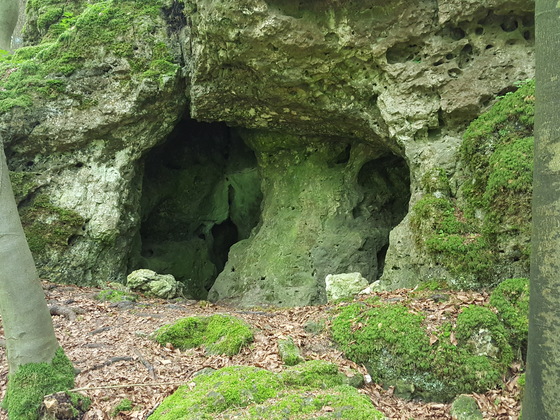 Fuchsloch (Nr. 10)