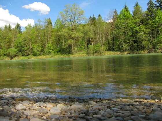 Geretsried- Zur Isarbrücke und in die Wildnis