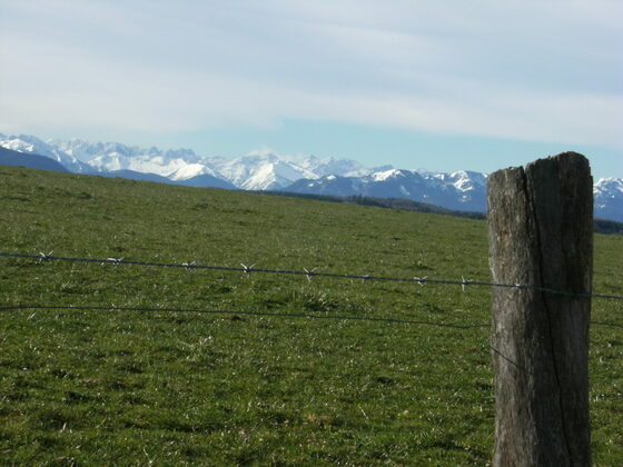 jasberg bei Otterfing