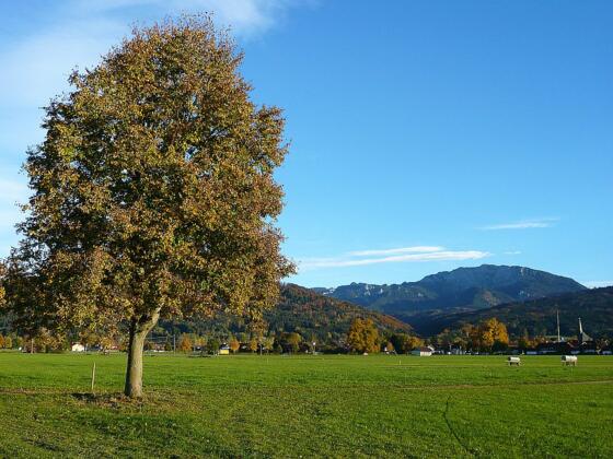 Wiesenweg zwischen Bichl und Benediktbeuern