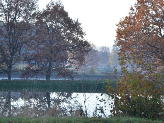 Fischteich im Herbst