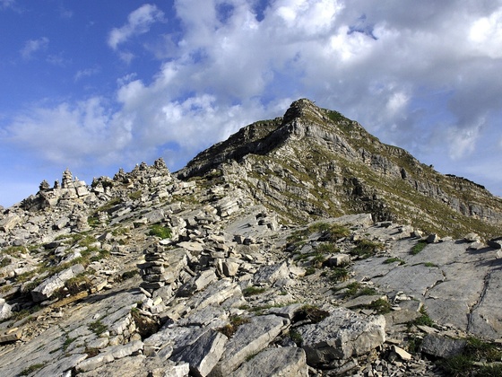 Schafreuter