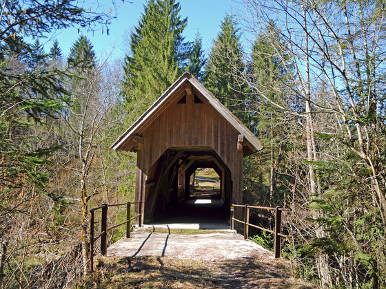 Die Gießenbrücke über die Bolgenach