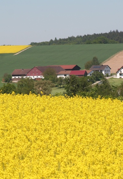 Höckhof