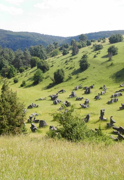 View over Figurenfeld