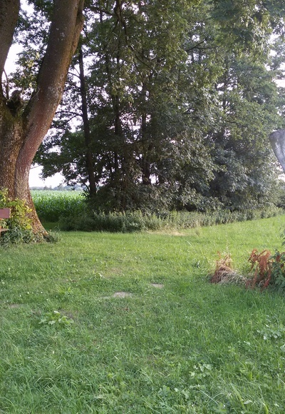 Naturkunstwerk: Holzskulptur des Erdinger Künstlers Fritz