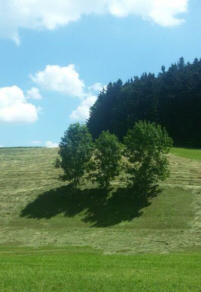 Weg nach Hinterholzhausen