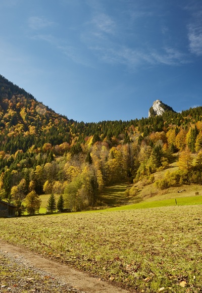 Leonhardstein