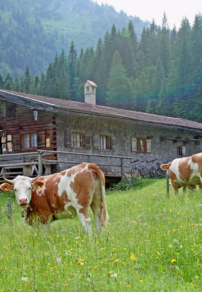 Bayralm bei Kreuth