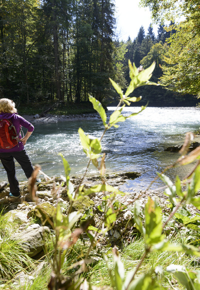 Ammerschlucht zwischen Peiting und Rottenbuch