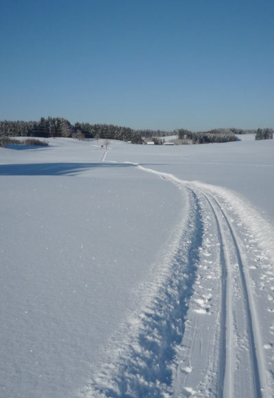 Loipe rund um Ingenried