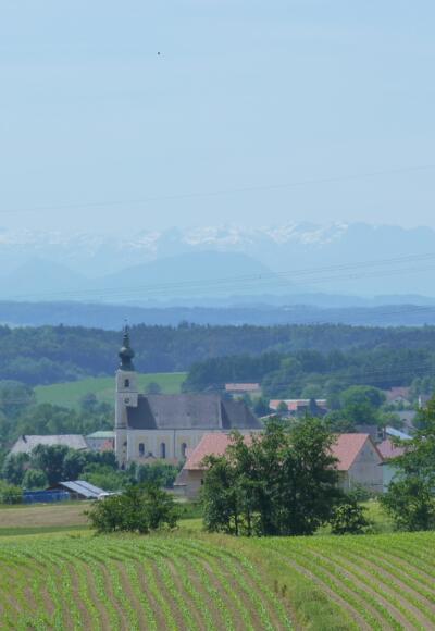 Blick auf Tann
