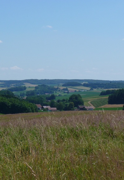 Ausblick bei Lindberg