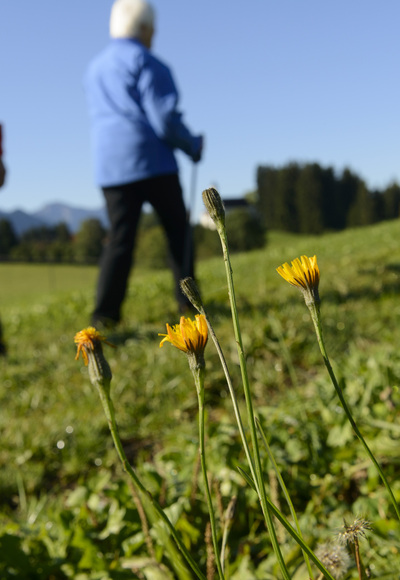 Rund um Arnried
