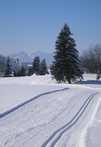 Langlaufloipe Mühlfeld Rottenbuch