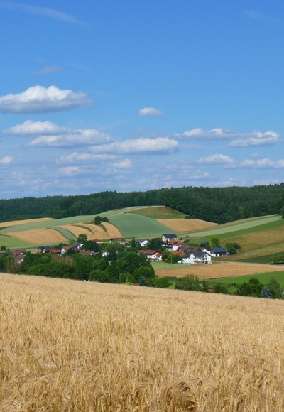 Blick ins Sulzbachtal bei Johanniskirchen