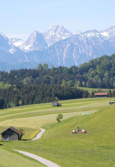 Einzigartiges Alpenpanorama