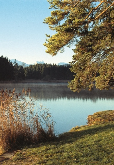 Schmutterweiher