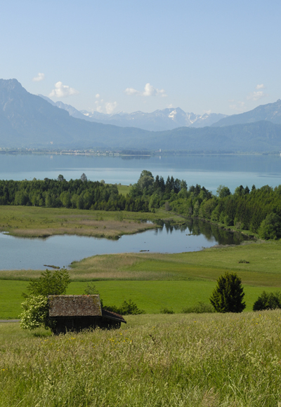 Panorama während der Tour: Der Forggensee bei Füssen