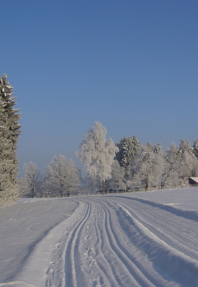 Bergwiesenrunde