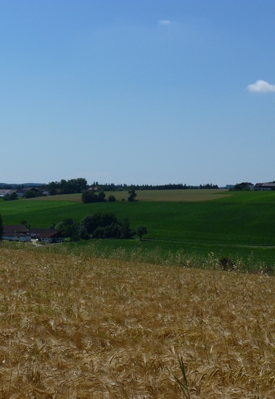Blick ins Apfelbachtal