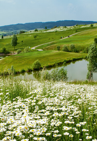 Blick auf den Bella Vista Golfpark