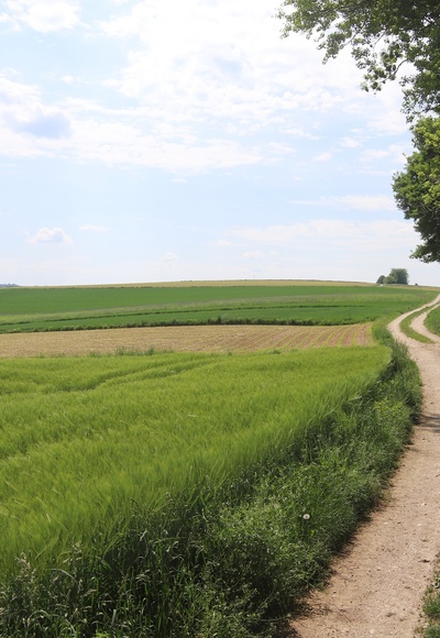 Wanderung in der Landschaft um Kößlarn