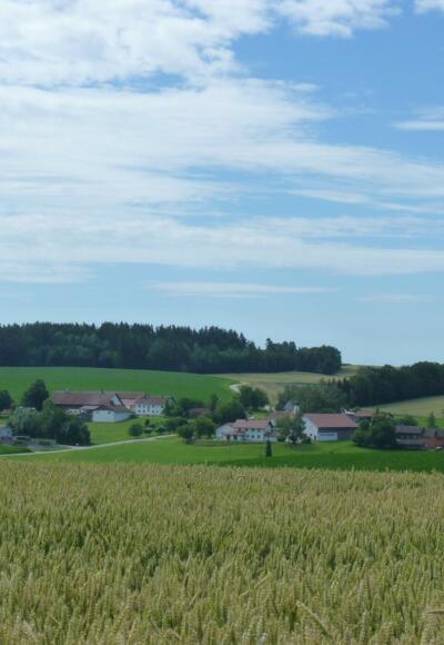 Blick auf Neukirchen