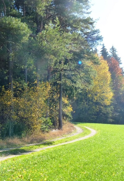 Wandern bei Schönau