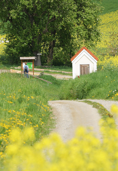 Der Weg von der Grund- und Mittelschule zur Bruder Konrad Kapelle