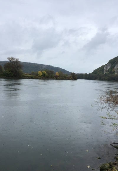 Schleifenroute - die Donau vor Bad Abbach