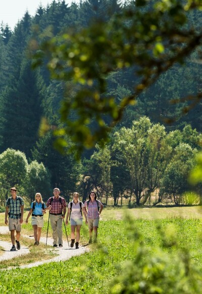 „Albtrauf“ Richtung Höhenberg