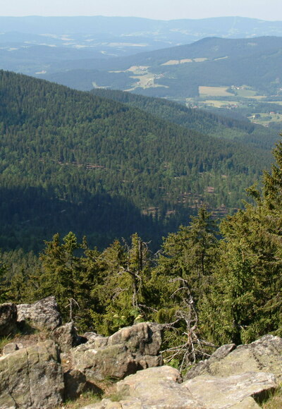 Wanderung von Eck zum Großen Arber