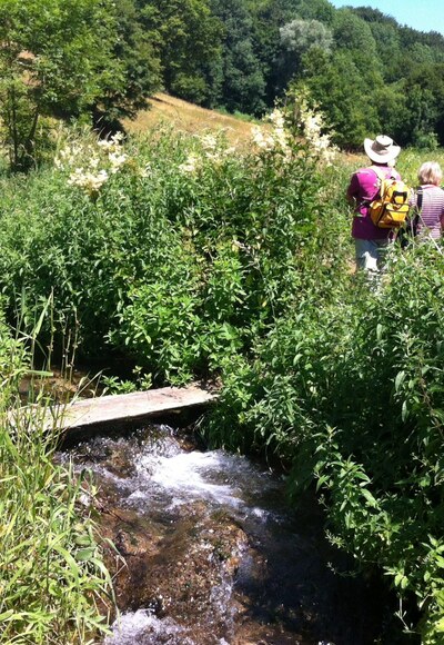 Im Wiesengrund über den Bach