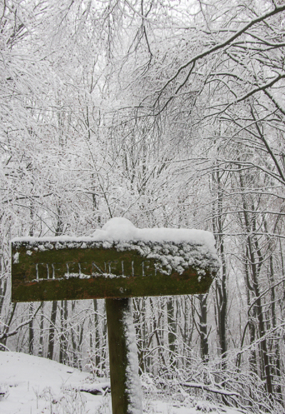 Tief verschneiter Waldweg