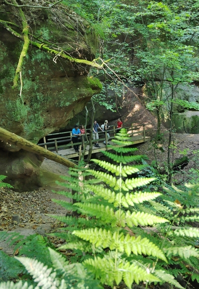 Wanderer besichtigen das grüne Schnittlinger Loch.